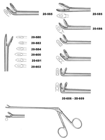 Nasal Forceps Blakesley 5-1/2 Inch Length Fenestrated No. 0 / 3.5 X 7 mm Cup