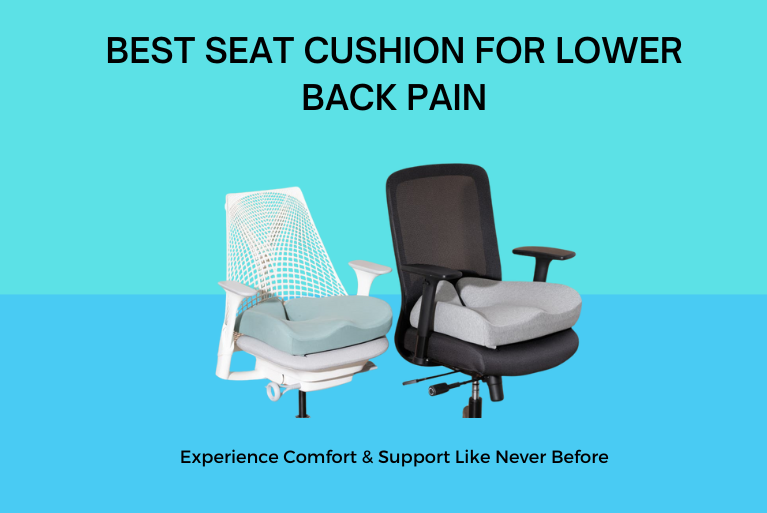Best Seat Cushion for Lower Back Pain