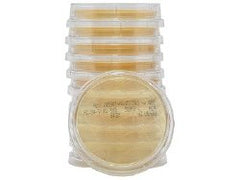 Prepared Media Lok-Tight™ Tryptic Soy Agar (TSA) with Lecithin and Tween® 80 Contact Plate PACK OF 10 MK-1008997