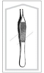 Tissue Forceps Merit Sterile™ Adson 4-3/4 Inch Length Floor / Office Grade Pakistani Stainless Steel Sterile NonLocking Thumb Handle Straight 1 X 2 Teeth BOX OF 50 MK-1015445