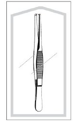 Tissue Forceps Merit Sterile™ 5 Inch Length Floor / Office Grade Pakistani Stainless Steel Sterile NonLocking Thumb Handle Straight 1 X 2 Teeth CASE OF 25 MK-1015491