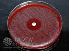 Indentification Disk HardyDisk™ SPS Gardnerella vaginalis / Peptostreptococcus anaerobius / Haemophilus ducreyi 1 µg EACH MK-1016256