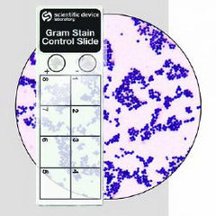Microbial Identification Control Gram Stain Positive Level 10 Slides BOX OF 10 MK-1039740