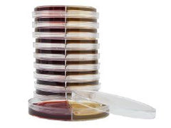 Prepared Media Bacteroides Bile Esculin / Laked Blood Kanamycin Vancomycin Biplate Bi-Plate Format PACK OF 10 MK-1039812