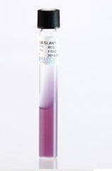 Prepared Media Lysine Iron Agar (LIA) Slant Tube Format AGAR SLANT, LYSINE IRON PACK OF 20 MK-1039814