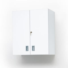 Wall Cabinet • 24"W x 13"D x 27.5"H, 1 Shelf  EACH  ML10488