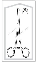 Tissue Forceps Econo Sterile™ Allis 7-1/4 Inch Length Floor / Office Grade Pakistani Stainless Steel Sterile Locking Finger Ring Handle Straight 6 X 7 Teeth CASE OF 50 MK-1084499