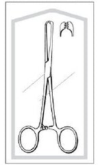Tissue Forceps Econo Sterile™ Allis 7-1/4 Inch Length Floor / Office Grade Pakistani Stainless Steel Sterile Locking Finger Ring Handle Straight 6 X 7 Teeth CASE OF 50 MK-1084499