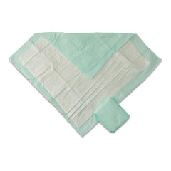 McKesson Disposable Underpad 30 X 30 Inch Fluff / Polymer Heavy Absorbency  (10/BG 9BG/CS) MK-1106245