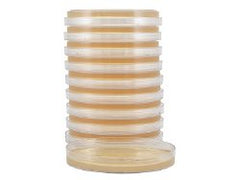 Prepared Media Tryptic Soy Agar (TSA) with Lecithin and Tween® 80 Mono-Plate Format PACK OF 10 MK-1120438