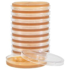 Prepared Media Malt Extract Agar Light Amber Deep Fill Plate Format PACK OF 10 MK-1136462