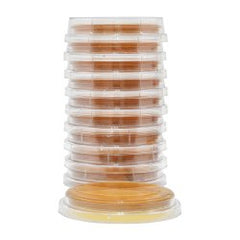 Prepared Media Malt Extract Agar with Lecithin and Tween Mono-Plate Format CASE OF 10 MK-1136464