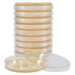 Prepared Media Tryptic Soy Agar (TSA) Deep Fill Plate Format PACK OF 1 MK-1137111