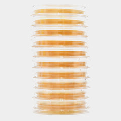 Hardy Diagnostics Growth Media Lok-Tight™ Sabdex (Sabouraud Dextrose) Agar with Lecithin and Tween® 80 Mono-Plate Format Pack of 10 - 1143353