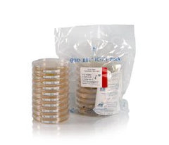 Prepared Media BD BBL™ IC-XT Pack Trypticase™ Soy Agar with Lecithin and Polysorbate 80 Mono-Plate Format BOX OF 100 MK-1233020