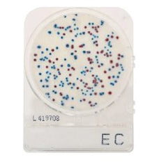 Culture Media CompactDry™ E.Coli / Coliforms Mini Plate PLATE, E COLI AND COLIFORMS COMPACTDRY PACK OF 240 MK-1242679