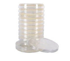 Culture Media R2A Agar Mono-plate PLATE, AGAR R2A PACK OF 10 MK-1242710