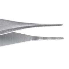 Tissue Forceps Econo™ Adson 4-3/4 Inch Length Floor / Office Grade Pakistani Stainless Steel NonSterile NonLocking Thumb Handle Straight Smooth Tips CASE OF 25 MK-1244295