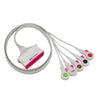 ECG Cable Kendall™ 5 Lead For use with Philips IntelliVue™ MX40 Telemetry System Case of 100 MK-1247723