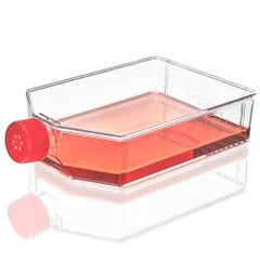 Culture Flask Diamond® SureGro™ Tissue Culture Treated Polystyrene / HDPE Cap 200 mL CASE OF 25 MK-1257552