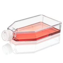 Culture Flask Diamond® SureGro™ Cell Culture Polystyrene / HDPE Cap 600 mL CASE OF 40 MK-1257558
