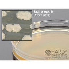 Prepared Media Tryptic Soy Agar (TSA) with Lecithin and Tween® 80 Mono-Plate Format PACK OF 10 MK-1262849