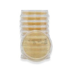 Prepared Media Lok-Tight™ Tryptic Soy Agar (TSA) with Lecithin and Tween® 80 Beige Contact Plate PACK OF 10 MK-1263174