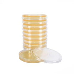 Prepared Media Malt Extract Agar Light Amber Deep Fill Plate Format PACK OF 10 MK-1263446