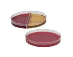 Culture Media AnaeroGRO™ DuoPak A Brucella Agar with Hemin and Vitamin K / Bacteroides Bile Esculin Agar and Laked Blood with Kanamycin and Vancomycin (LKV) Agar Red / Orange Mono-Plate / Bi-Plate PACK OF 1 MK-1270219