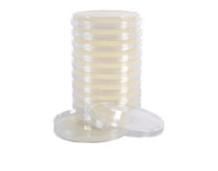 Prepared Media Inhibitory Mold Agar with Chloramphenicol Deep Fill Plate PACK OF 10 MK-1273612