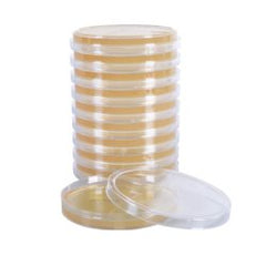Culture Media SterEM™ Tryptic Soy Agar (TSA) with Lecithin and Tween 80 Beige Petri Plate PACK OF 10 MK-1281080
