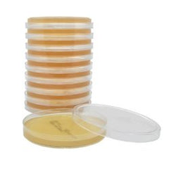 Prepared Media SterEM™ Sabouraud Dextrose Agar Beige Mono-Plate Format PACK OF 10 MK-1282893