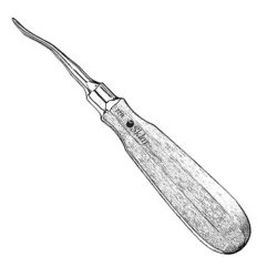 Elevator Sklar® OR / Surgical Grade Stainless Steel NonSterile Each MK-1289481