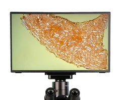 LW scientific 13.3" Camera Screen Monitor - BVP-SCRN-1163