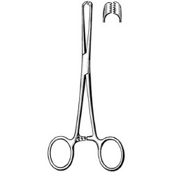 Tissue Forceps Surgi-OR™ Allis 6 Inch Length Mid Grade Stainless Steel NonSterile Locking Finger Ring Handle Straight 5 X 6 Teeth EACH MK-331893