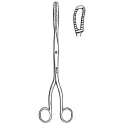 Ovum Forceps Sklar® Bierer 11 Inch Length OR / Surgical Grade German Stainless Steel NonSterile NonLocking Finger Ring Handle Straight Fenestrated Serrated Oval Tips EACH MK-376138