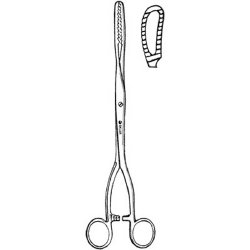 Ovum Forceps Sklar® Bierer 11 Inch Length OR / Surgical Grade German Stainless Steel NonSterile Locking Finger Ring Handle Straight Serrated Oval Loop Tips EACH MK-376546