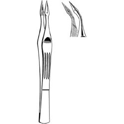 Splinter Forceps Econo™ Carmalt 4-1/2 Inch Length Floor / Office Grade Pakistani Stainless Steel NonSterile NonLocking Thumb Handle Angled Sharp Serrated Tips with Groove BOX OF 12 MK-376939