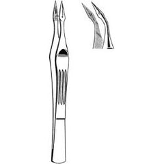 Splinter Forceps Econo™ Carmalt 4-1/2 Inch Length Floor / Office Grade Pakistani Stainless Steel NonSterile NonLocking Thumb Handle Angled Sharp Serrated Tips with Groove BOX OF 12 MK-376939