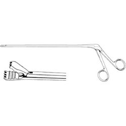 Alligator Forceps Sklar® Barron 10 Inch Length OR / Surgical Grade German Stainless Steel NonSterile NonLocking Finger Ring Handle Straight Atraumatic Tips with 4 X 5 Teeth EACH MK-525657