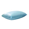 Bed Pillow Pro-Barrier® 21 X 27 Inch Blue Reusable MK-538044