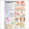 Anatomical Chart Understanding Allergies 2nd Edition 20 X 26 Inch Heavy Paper Laminated MK-780783