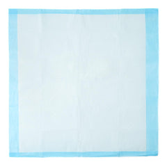 Disposable Underpad Protection Plus® 30 X 30 Inch Fluff Moderate Absorbency  (5/BG 30BG/CS) MK-862014