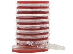 Prepared Media Tryptic Soy Agar (TSA) with 5% Sheep Blood Red Petri Plate Format PACK OF 100 MK-919162
