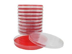 Prepared Media Mueller Hinton Agar with 5% Sheep Blood Petri Plate Format Box of 10 MK-887022