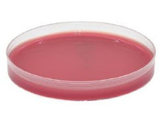 Pre-reduced Culture Media AnaeroGRO™ Brucella with Hemin and Vitamin K Plate Format EACH MK-898308