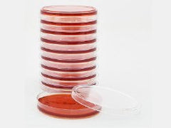 Prepared Media Burkholderia Cepacia Selective Agar Mono-Plate Format BOX OF 10 MK-898311