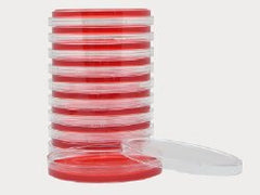 Prepared Media Xylose Lysine Deoxycholate Agar Petri Plate Format PLATES AGAR XLD 10/BX 15X100MM D/S BOX OF 10 MK-898313