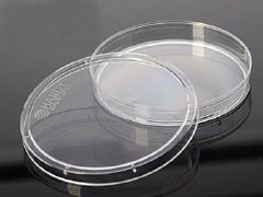 Petri Dish Hardy™ DISH PETRI 100X15MM 575/CS W/STACK RINGS CASE OF 575 MK-898320