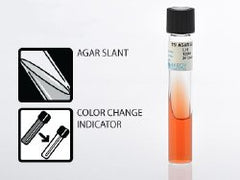 Prepared Media Triple Sugar Iron Agar Slant Tube Format AGAR SLANTS TSI 16X100MM BOX OF 20 MK-902927